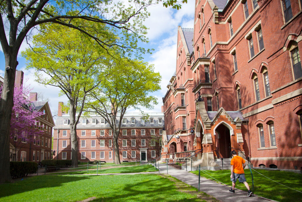 harvard university wallpaper
